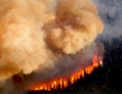 درجتان مئويتان... أو الخط الأحمر للتغير المناخي