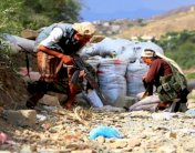 وزير الخارجية الإماراتي ينتقد تخاذل إخوان اليمن