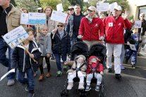 (كوب 21) الباريسية: اتفاق عالمي حول تغيّر المناخ 