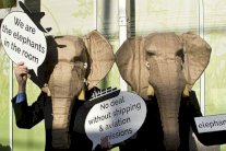 إقرار مسودة اتفاق في مؤتمر باريس للمناخ