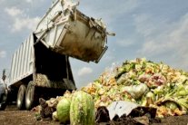 فتاة تُخلّص أميركا من مشكلة تبذير الطعام!