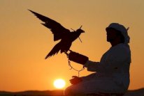 قوة مسلحة كبيرة خطفت القطريين في العراق