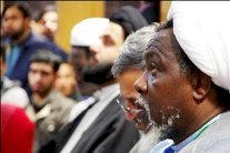 إبراهيم زكزكي 