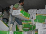 السعودية: توزيع نحو نصف مليون حقيبة مدرسية على لاجئي سوريا