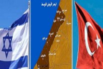 مصر ترفض أي نفوذ لتركيا في غزة