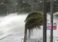 سبعة قتلى في زوابع وعواصف في شرق الولايات المتحدة