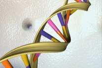 الحمض النووي يتنبأ بموعد وفاة الإنسان