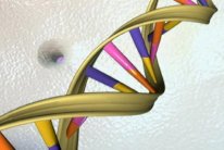 الحمض النووي ذاكرة العالم