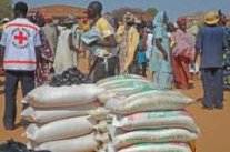 الصليب الأحمر قلق للوضع الإنساني في شمال مالي