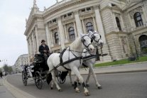 برلمان النمسا يقرتشريعًا جديدًا يشجّع إسلامًا أوروبيا