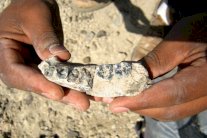 البشر نشأوا قبل 400 ألف سنة مما يعتقد العلماء