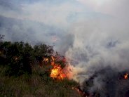 قتيل في حريق في منطقة فالباريزو وسط تشيلي