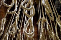 مقرر للأمم المتحدة يندد بتدهور حقوق الإنسان في إيران