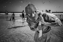 الميداليات الذهبية للعمانيين الوهيبي والعجيلي