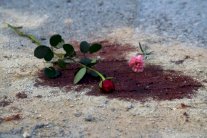 منفذا الهجوم على متحف باردو في تونس تدربا في ليبيا