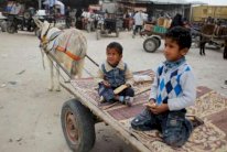  الاونروا تنتقد عدم معالجة مشاكل اللاجئين الفلسطينيين