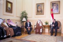 هادي: خاطرت بنفسي للمشاركة في القمة العربية