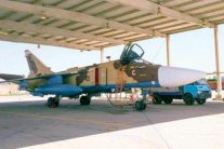 نجاح عاصفة الحزم دفع إلى التأني في التدخل البري