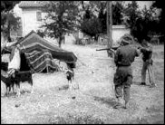 عضو بالحكومة الفرنسية سيشارك في ذكرى مجزرة سطيف