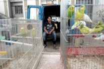 حصون القذافي في ليبيا مساكن عشوائية...وسوق للحيوانات