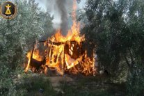 مقتل 29 واعتقال 32 إرهابيا وتدمير مصنع متفجرات بسيناء