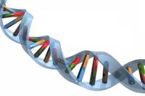 صلة بين جرائم الجنس وجينات الذكورة في العائلة