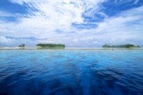 علماء أميركيون يحلّون لغزًا عمره 252 مليون عام