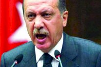 اردوغان يهاجم هولاند وبوتين وغاوك