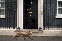 خميس الحسم في قلعة الديموقراطية! 