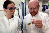 المجلات العلمية ساحة للتمييز ضد النساء