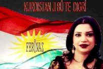 فريناز خسرواني تفجر غضب أكراد الإقليم 