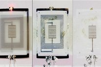 أجهزة تتحلل ذاتيًا لتقليل النفايات الإلكترونية