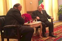 وزير خارجية مصر يزور الجزائر لإيجاد حل للأزمة الليبية