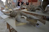 العلماء يرمّمون أحافير بركان فيزوف البشرية