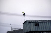 الأكراد يحررون مدينة تل أبيض السورية