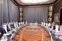 ولي ولي العهد السعودي يبحث فرص الاستثمار مع الإمارات