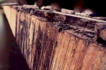 بغداد: محاكمة مرتكبي جريمة سبايكر في 8 يوليو 