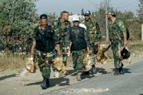 لوموند: المملوك وإيران يؤيدان دولة علوية في سوريا