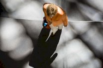 هكذا خذلت ميركل اليونان وأوروبا معًا