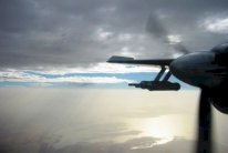 الإمارات تلجأ الى