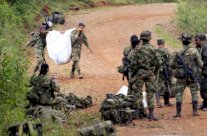 حركة فارك تعلن وقف اطلاق النار في كولومبيا