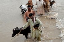 مصرع 36 شخصا في فيضانات وامطار غزيرة في باكستان