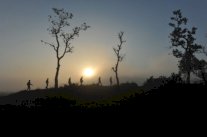 المدن ترفع مستوى الاكتئاب