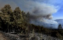 النيران تلتهم الاف الهكتارات من الغابات في سيبيريا