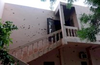 اغتيال إمام مسجد في وسط مالي 