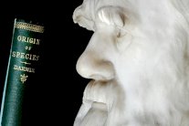 حفيدة داروين تعتنق الكاثوليكية وتحرج عائلتها