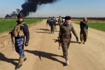 ألمانيا: هجوم كيميائي استهدف مقاتلين أكرادا في العراق