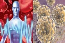 علماء يختبرون لقاحًا مضادَا لكورونا