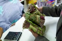 اليمنيون يمضغون سما قاتلا!