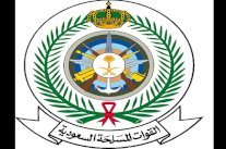 مقتل قائد لواء سعودي إثر تعرضه لنيران معادية